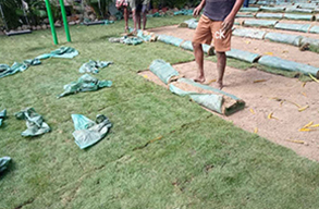 Selection Grass Suppliers in Jharkhand, Odisha, Bihar, West Bengal
                