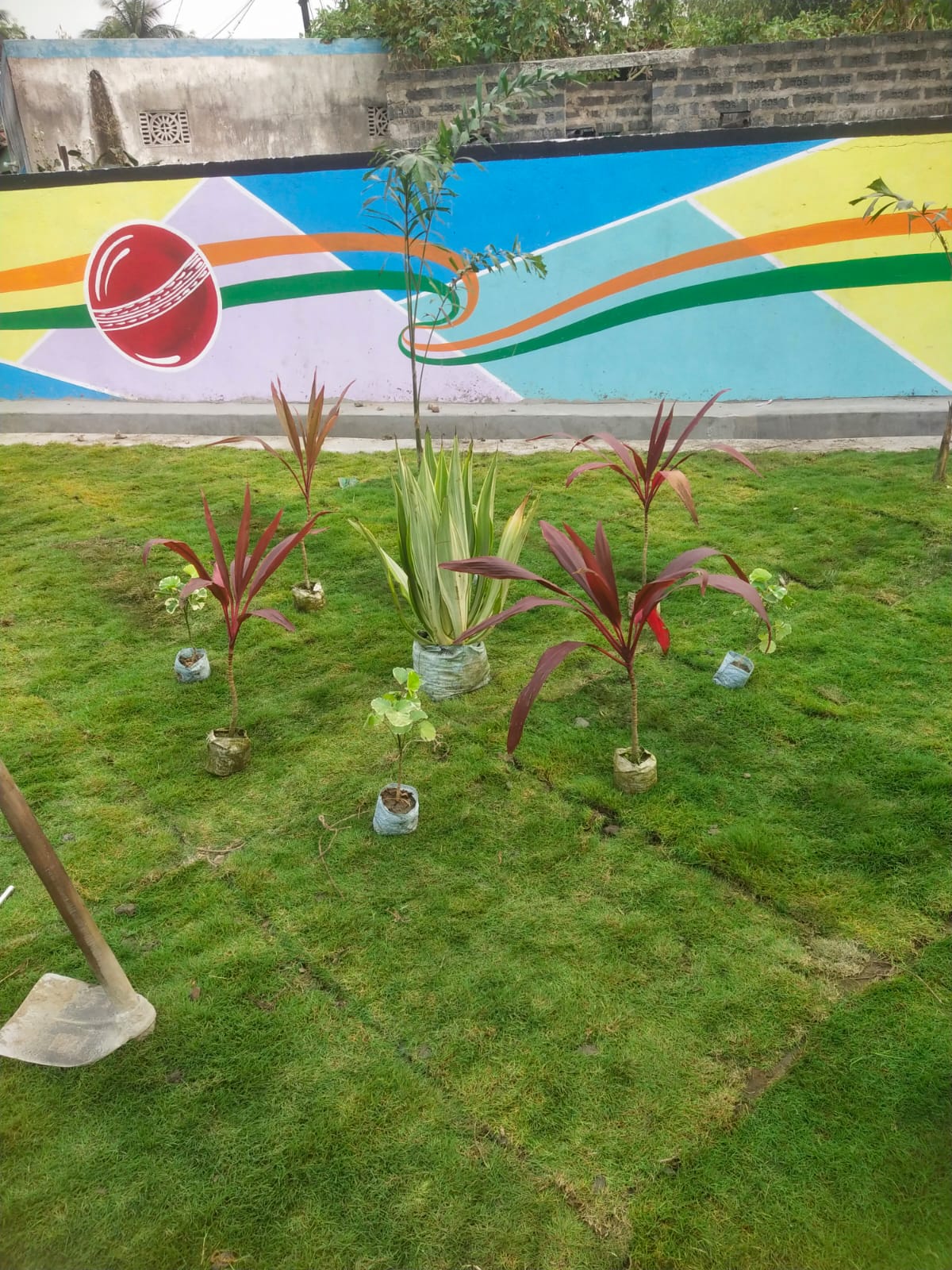 Selection Grass Suppliers in Jharkhand, Odisha, Bihar, West Bengal
    
